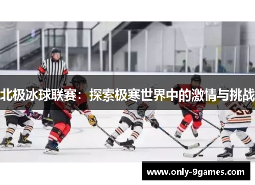 北极冰球联赛：探索极寒世界中的激情与挑战